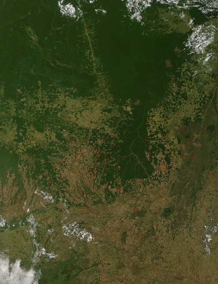 Deforestation In Mato Grosso Deforestation In Mato Grosso