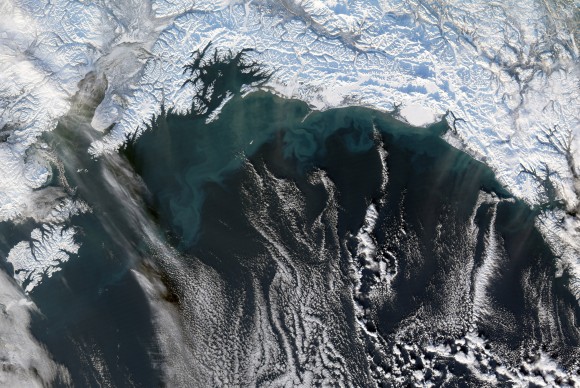 Ocean Color In The Gulf Of Alaska