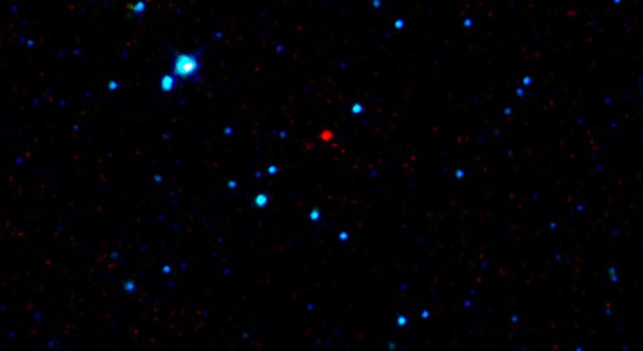The red dot at the center of this image is the first near-Earth asteroid discovered by NASA's Wide-Field Infrared Survey Explorer, or WISE Image credit: NASA/JPL-Caltech/UCLA