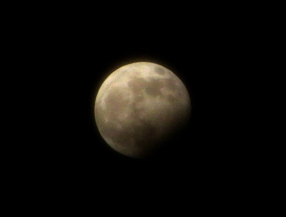 New Year's Eve Eclipse. Photo by Nathanial Burton-Bradford