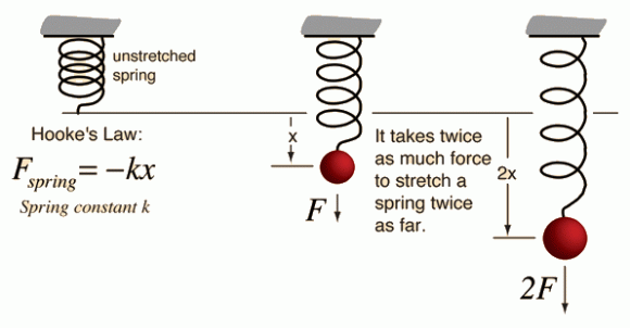 Credit: GSU/hyperphysics