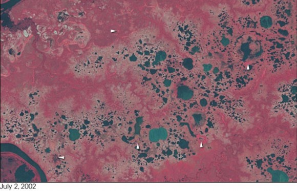 Satellite images showing the lakes in Siberia