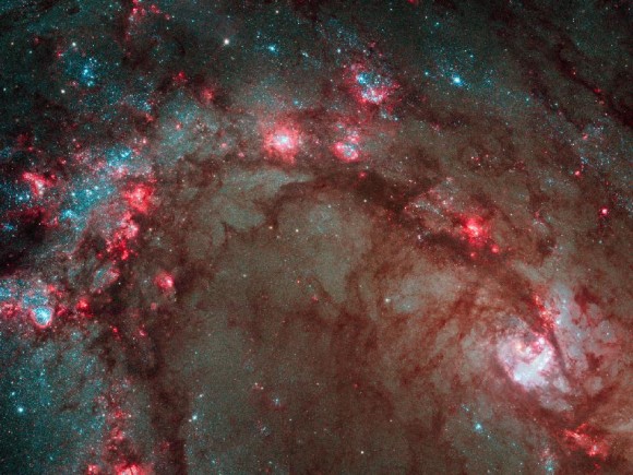 Cosmos Wallpaper