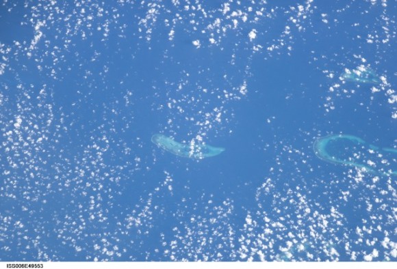 Pictures of Coral Reefs