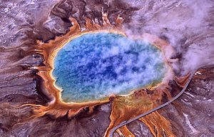 Extremophiles Extremophiles