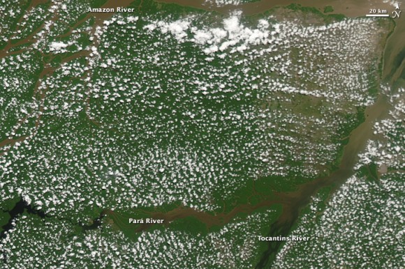 Afternoon Clouds over the Amazon Rainforest