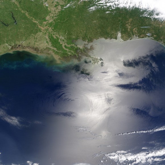 Oil Seeps in the Gulf of Mexico Oil Seeps in the Gulf of Mexico
