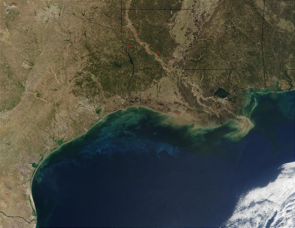 Phytoplankton and sediments in Gulf of Mexico Phytoplankton and sediments in Gulf of Mexico