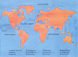 How Many Oceans in the World