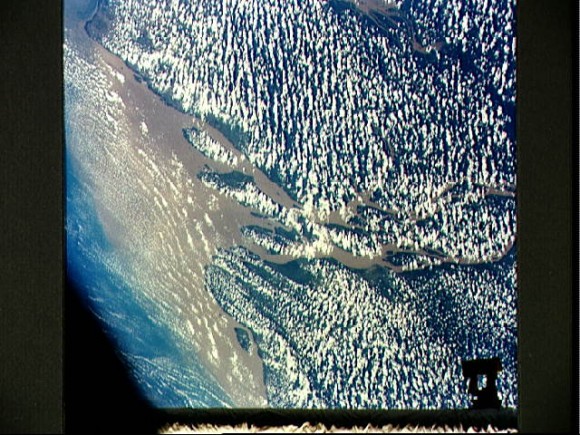 Amazon River Pictures