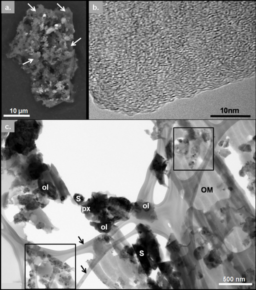 (A) Backscattered scanning electron micrograph of particle 119. The carbon-rich areas appear dark (arrows); the bright inclusions are dominated by Fe-Ni sulfides and silicates. (B) High-resolution TEM image of particle 19. (C) Bright-field TEM image of particle 19. The lacey carbon film (13) is indicated as black arrows; the crystalline phases are Mgrich olivines (ol), Mg-rich pyroxenes (px), and Fe-Ni sulfides (S); OM, organic matter. Glassy aggregates (GEMS candidates) are highlighted in black squares (13). Image courtesy of Science/AAAS