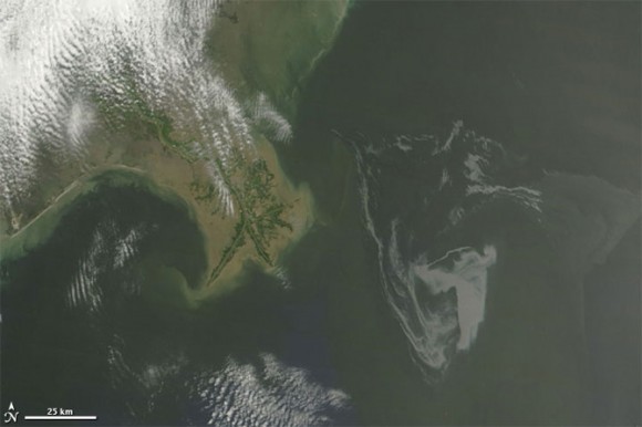 The Deepwater Horizon oil spill (appearing as a dull gray color) is southeast of the Mississippi Delta in this May 1, 2010, image from NASA's MODIS instrument. Credit: NASA/Goddard/MODIS Rapid Response Team