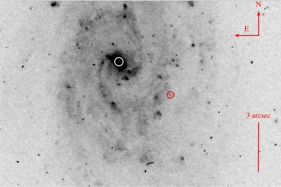 A Hubble Space Telescope image of the galaxy studied by Marianne Heida. The white circle marks the centre of the galaxy and the red circle marks the position of the suspected offset black hole. Image: STScI / NASA