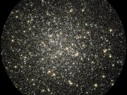 Stars Stars