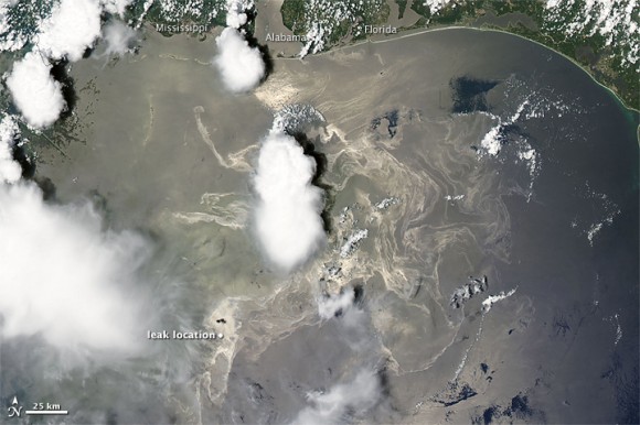 Satellite image of the oil leak in the Gulf of Mexico, as seen on June 19, 2010. Credit: MODIS Rapid Response Team