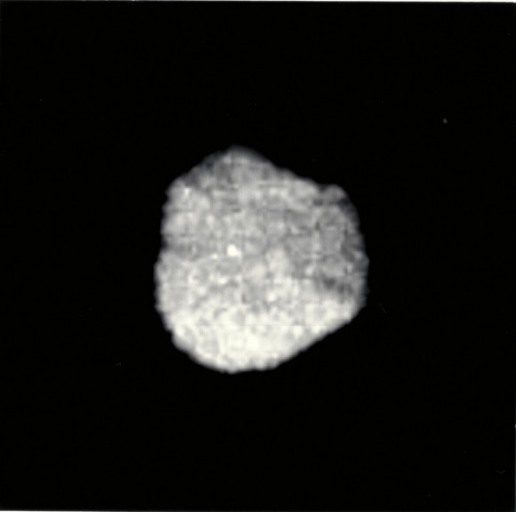 Proteus