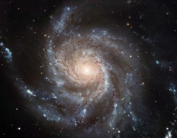This Hubble image reveals the gigantic Pinwheel Galaxy (M101), one of the best known examples of "grand design spirals," and its supergiant star-forming regions in unprecedented detail. Astronomers have searched galaxies like this in a hunt for the progenitors of Type Ia supernovae, but their search has turned up mostly empty-handed. Credit: NASA/ESA