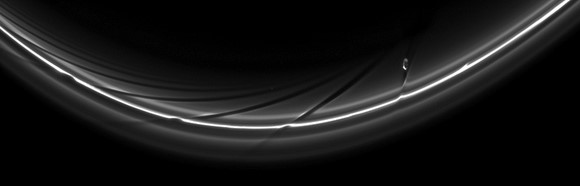 Saturn's moon Prometheus creates streamer channels in the planet's rings. Credit: NASA/JPL/Space Science Institute