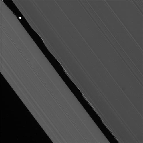 A Cassini image of the moon Daphnis making waves in Saturn's rings. Credit: NASA/JPL/Space Science Institute