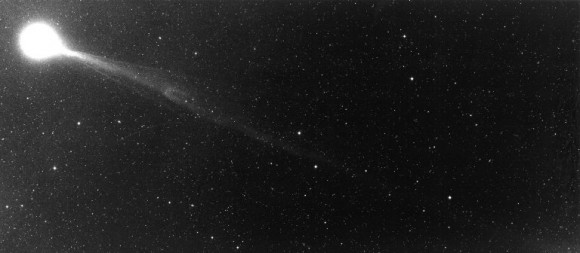 Another view of Comet Halley Another view of Comet Halley