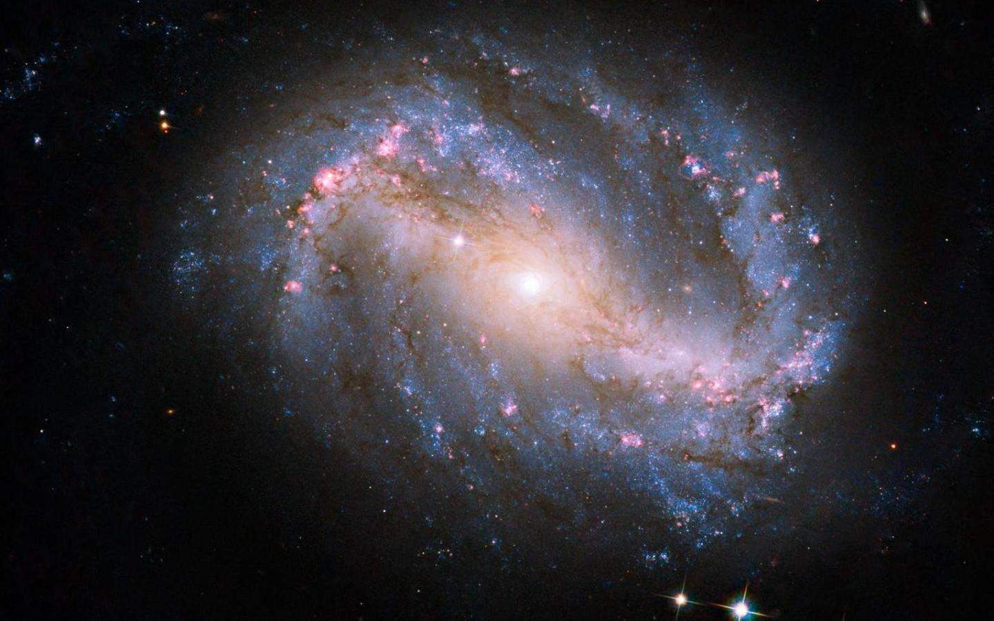 parts of a barred spiral galaxy