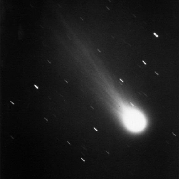 The Comet Halley The Comet Halley