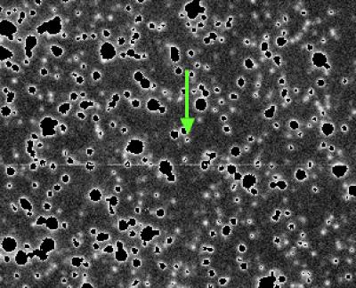 The green arrow shows the asteroid. The other bright objects are stars in the Milky Way. Credit: Scott Sheppard