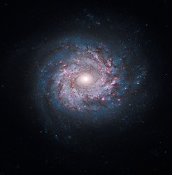 Galaxies