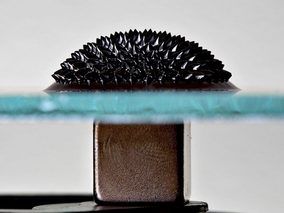 Rare Earth Magnets