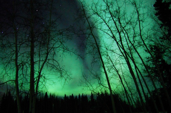 Aurora Activity near Dettah, in the Northwest Territories. Credit: Credit: Sean Davies; used by permission.