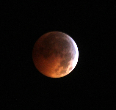 A 'Coppery Orb' as seen by Tony Hoffman in Queens, NY. 'Well worth braving the cold and wind to catch,' Tony said, 'Relatively bright totality with Moon beautifully situated by the horns of Taurus.'