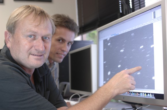 Richard Wainscoat (left) and Marco Micheli study one of the near-Earth asteroids found on January 29. The asteroid is the roundish dot near Wainscoat’s finger. Photo by Karen Teramura