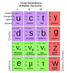 Particle Physics