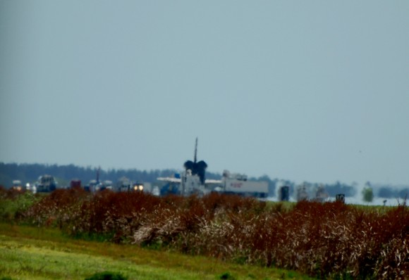 DSC_8304
