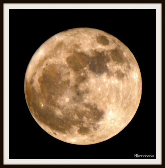 'I took this in my garden this evening about 9pm using my Tokina 500mm mirror lens. More detail than I was expecting to be honest,' said photographer Dave Green. Click the image to see his Flickr page.