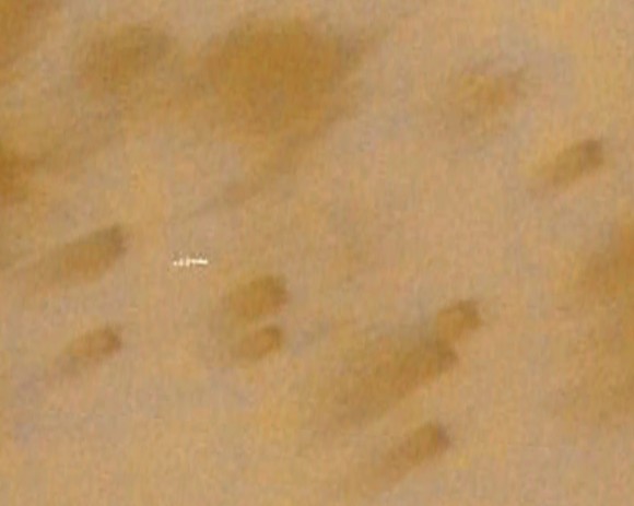 The streak on Google Mars misinterpreted as a secret Mars base.