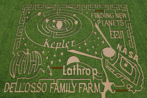 Corn maze at Dell'Osso Farms in Lathrop, California. Image courtesty of The MAiZE Inc.