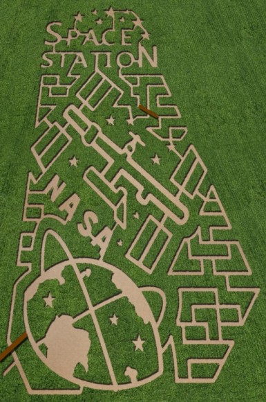 Corn maze at Vala's Pumpkin Patch in Gretna, Nebraska. Image courtesty of The MAiZE Inc