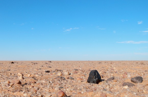 Almahata Sitta 15. The black fragment of Almahata Sitta meteorite number 15 shows up black against the lighter coloured rocks of the Nubian desert in Northern Sudan. Image credit: Peter Jenniskens (SETI Institute/NASA Ames)
