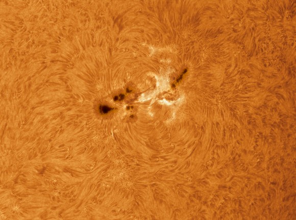 AR1339