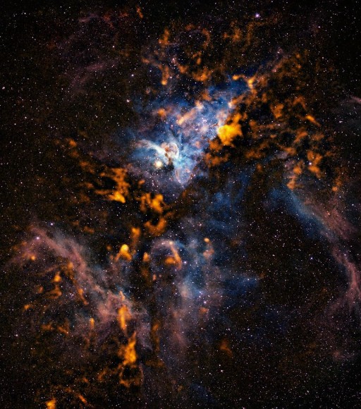 Carina