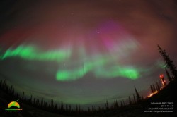 aurora-max