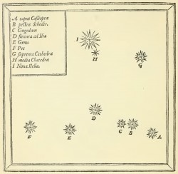 Operum primitias De nova stella. Summi civis memor denuo edidit