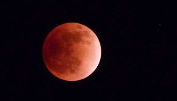 eclipse fischer