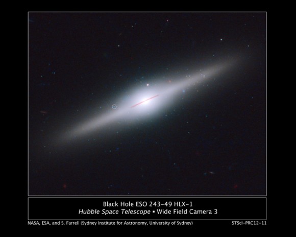 HLX-1