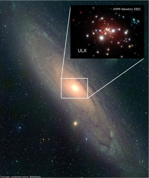 M31_ULX