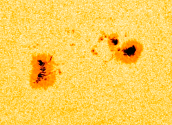 AR1416