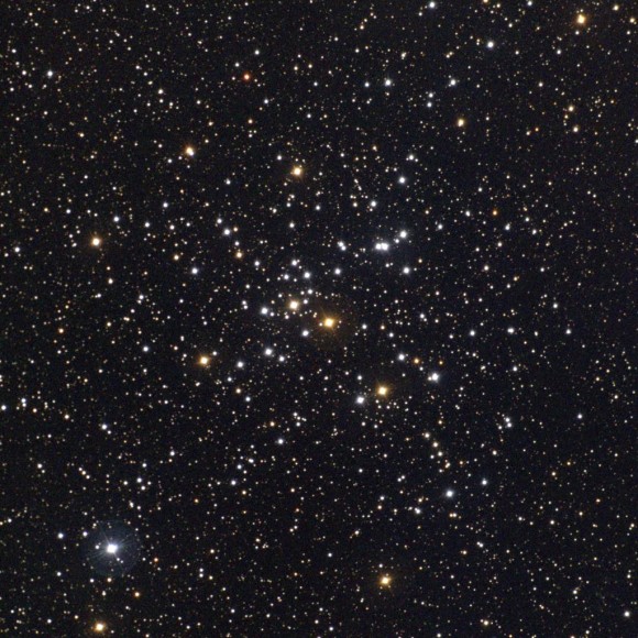 m41y