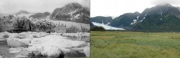 Icemelt_Alaska8