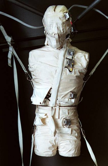 Torso2